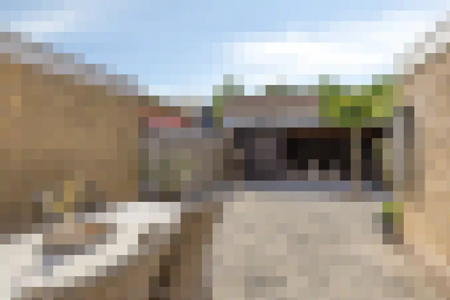 Ooievaarshof 17 Kollum thumbnail 35