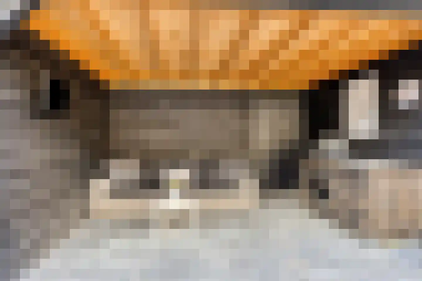 Ooievaarshof 17 Kollum thumbnail 37