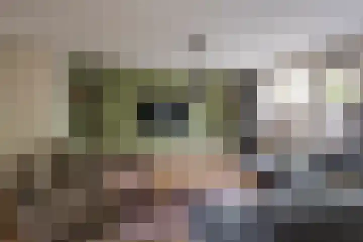 Ooievaarshof 31 Nijkerk thumbnail 11