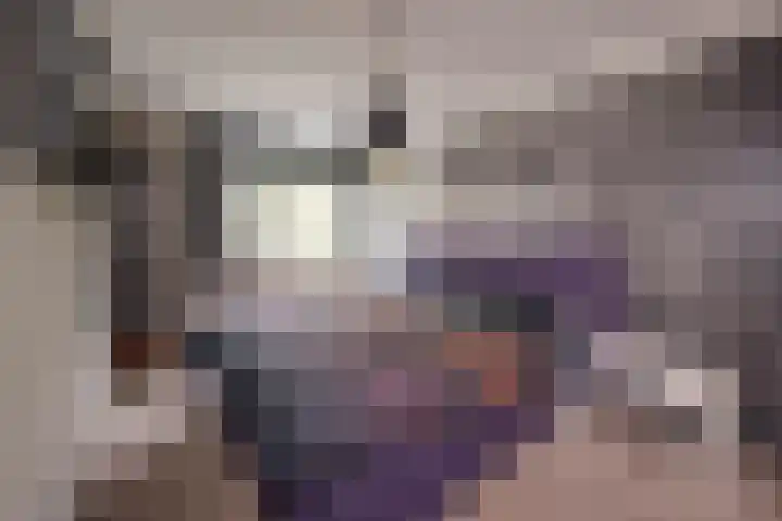 Ooievaarshof 31 Nijkerk thumbnail 17
