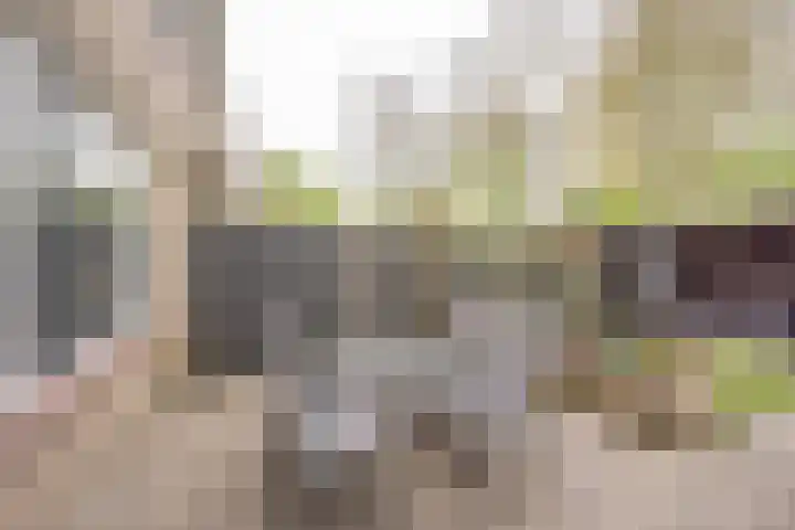 Ooievaarshof 31 Nijkerk thumbnail 31