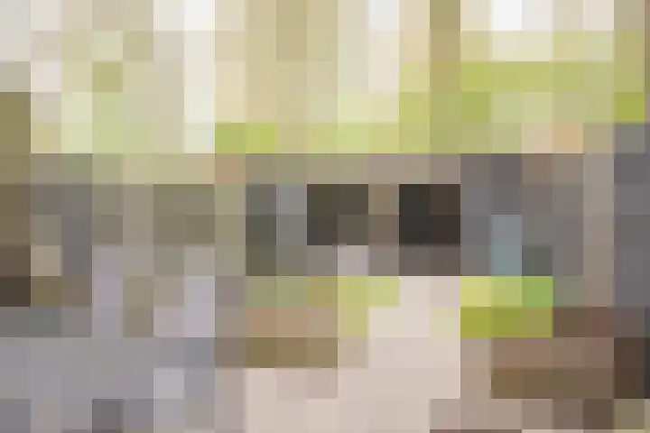 Ooievaarshof 31 Nijkerk thumbnail 32