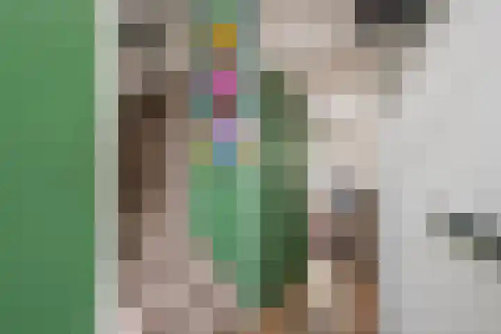 Ooievaarshof 31 Nijkerk thumbnail 7
