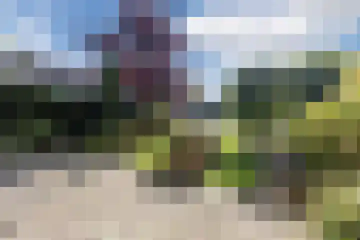 Ooievaarshof 57 Nijkerk thumbnail 31