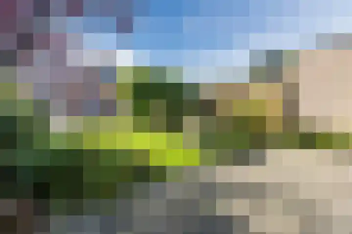 Ooievaarshof 57 Nijkerk thumbnail 32