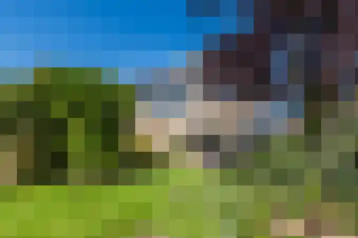 Ooievaarshof 57 Nijkerk thumbnail 36
