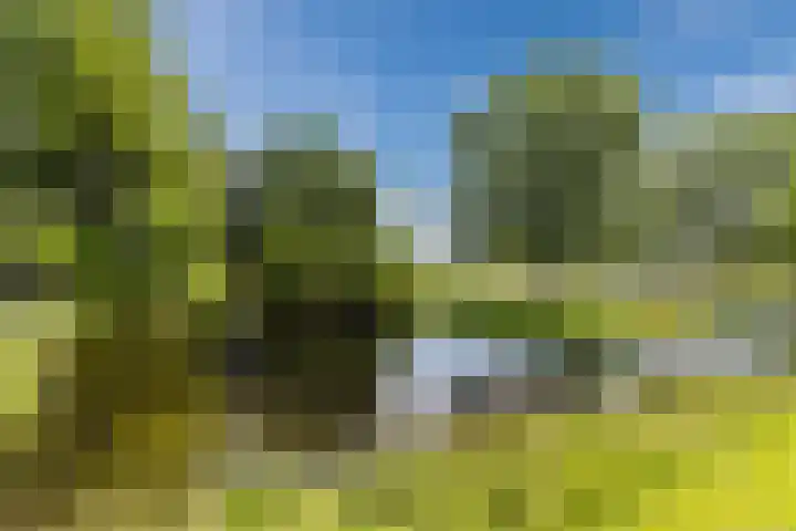Ooievaarshof 57 Nijkerk thumbnail 37