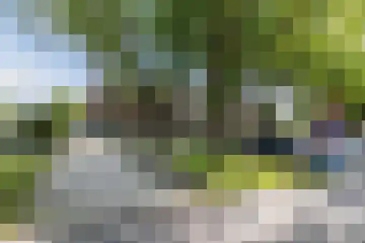 Ooievaarshof 57 Nijkerk thumbnail 38