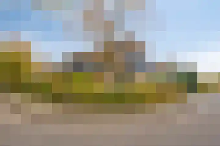 Ooievaarshof 7 Borne