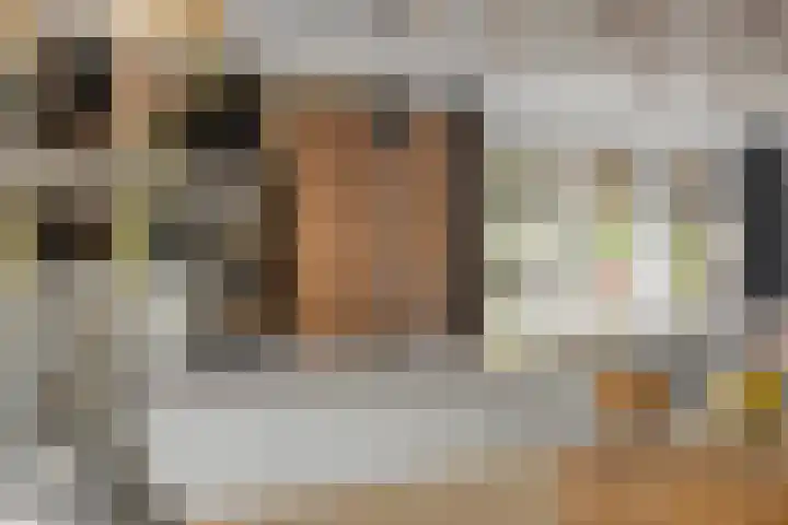 Ooievaarshof 7 Borne thumbnail 14