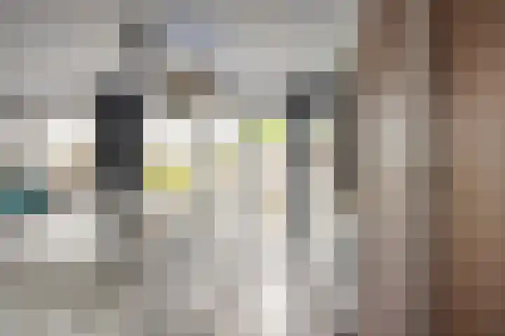 Ooievaarshof 7 Borne thumbnail 17