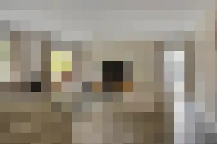 Ooievaarshof 7 Borne thumbnail 19