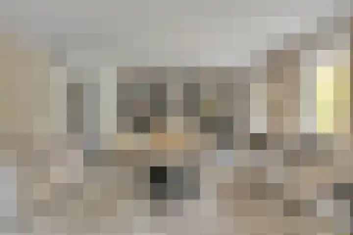 Ooievaarshof 7 Borne thumbnail 21