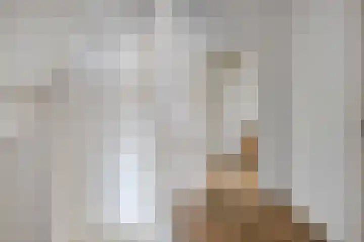 Ooievaarshof 7 Borne thumbnail 29