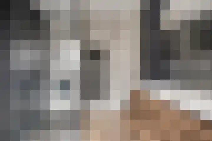 Ooievaarshof 7 Borne thumbnail 4