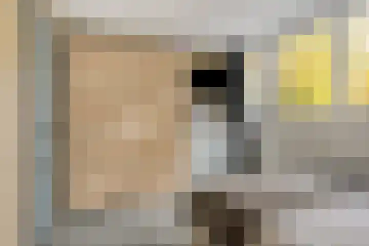 Ooievaarshof 7 Borne thumbnail 40