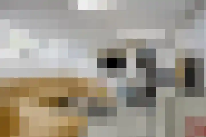 Ooievaarshof 7 Borne thumbnail 42