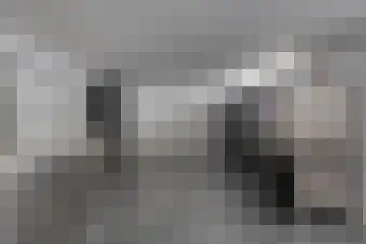 Ooievaarshof 7 Borne thumbnail 44