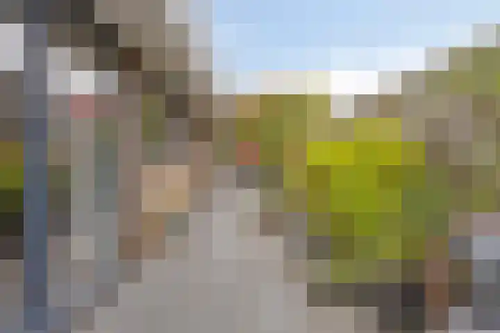 Ooievaarshof 7 Borne thumbnail 46