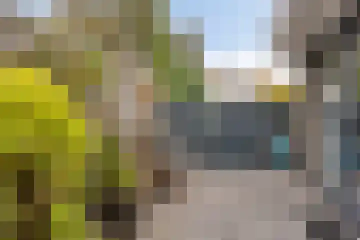 Ooievaarshof 7 Borne thumbnail 47