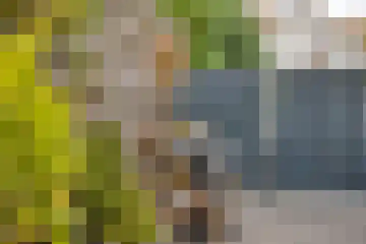 Ooievaarshof 7 Borne thumbnail 48