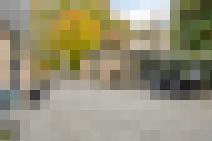Ooievaarshof 7 Borne thumbnail 49