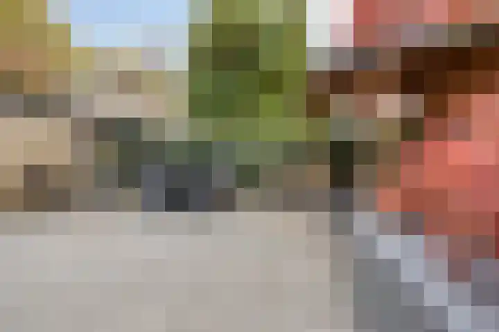 Ooievaarshof 7 Borne thumbnail 50