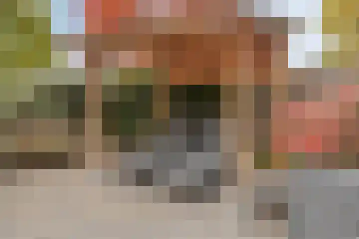 Ooievaarshof 7 Borne thumbnail 51
