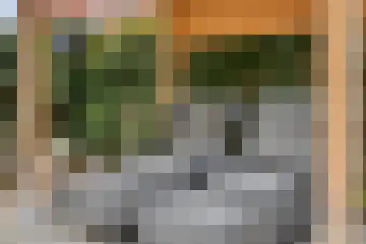 Ooievaarshof 7 Borne thumbnail 52