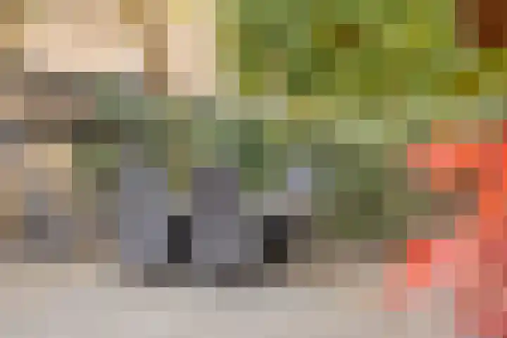 Ooievaarshof 7 Borne thumbnail 53