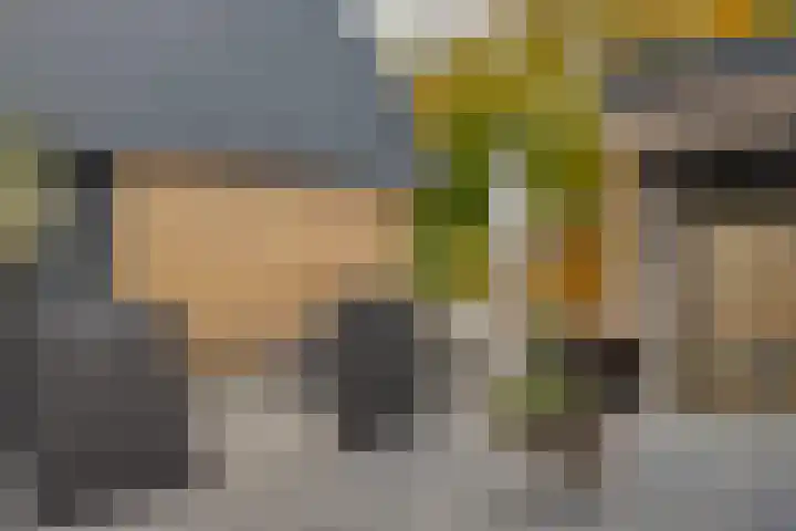 Ooievaarshof 7 Borne thumbnail 54