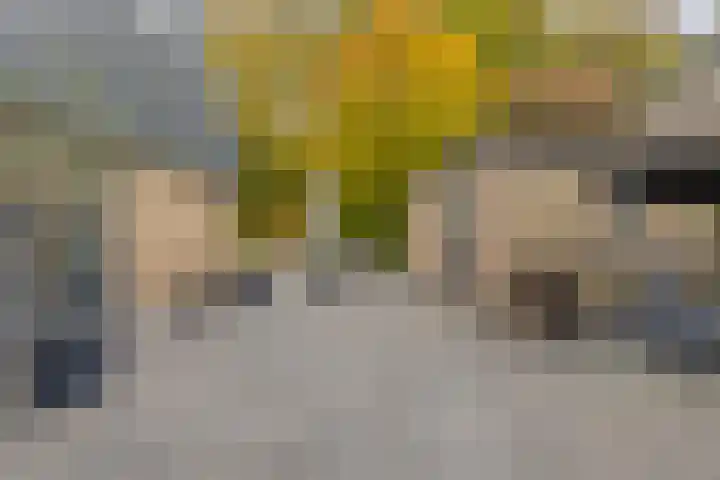 Ooievaarshof 7 Borne thumbnail 56
