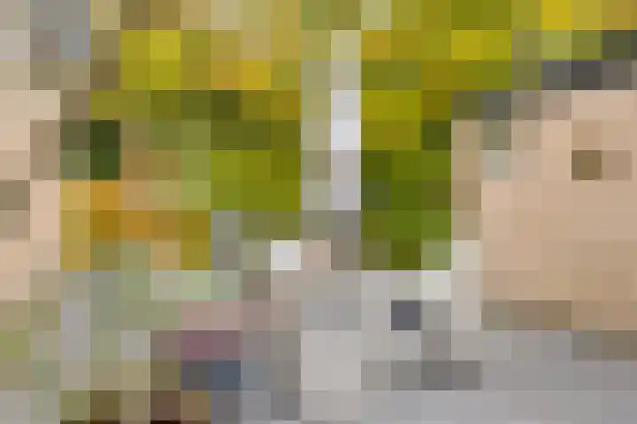Ooievaarshof 7 Borne thumbnail 57