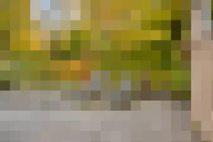 Ooievaarshof 7 Borne thumbnail 58