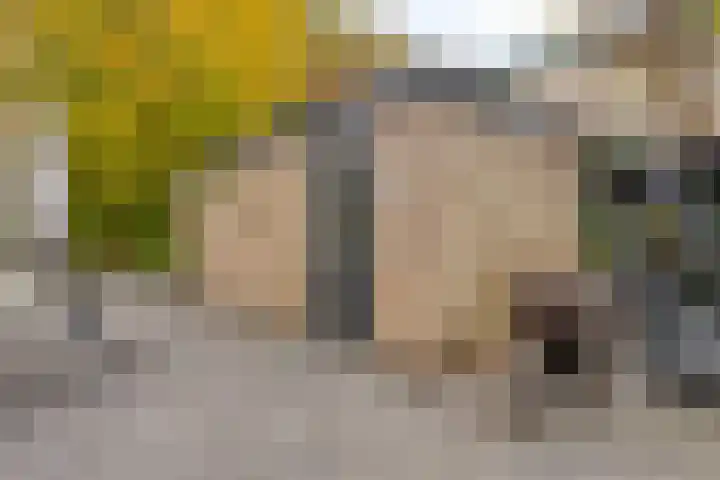 Ooievaarshof 7 Borne thumbnail 59