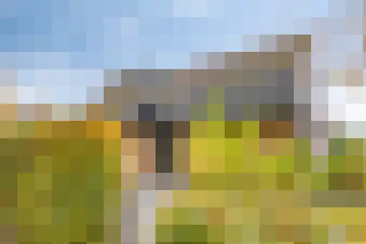 Ooievaarshof 7 Borne thumbnail 6
