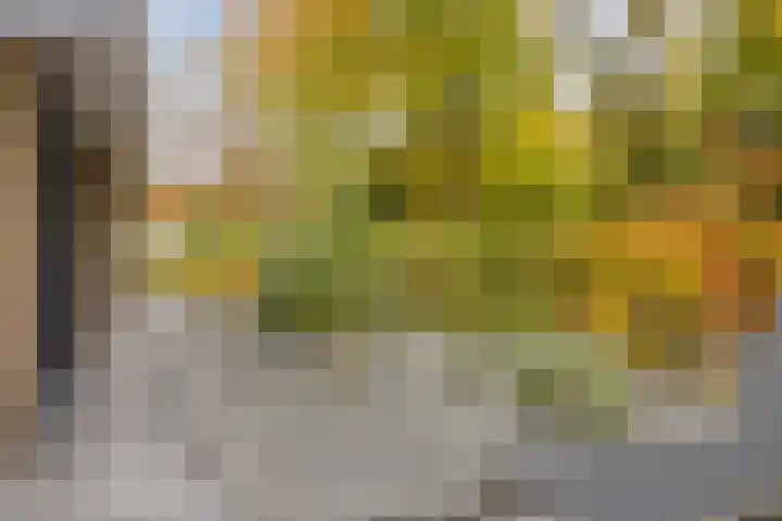 Ooievaarshof 7 Borne thumbnail 61