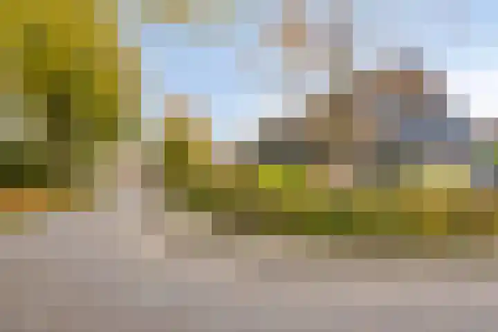 Ooievaarshof 7 Borne thumbnail 64