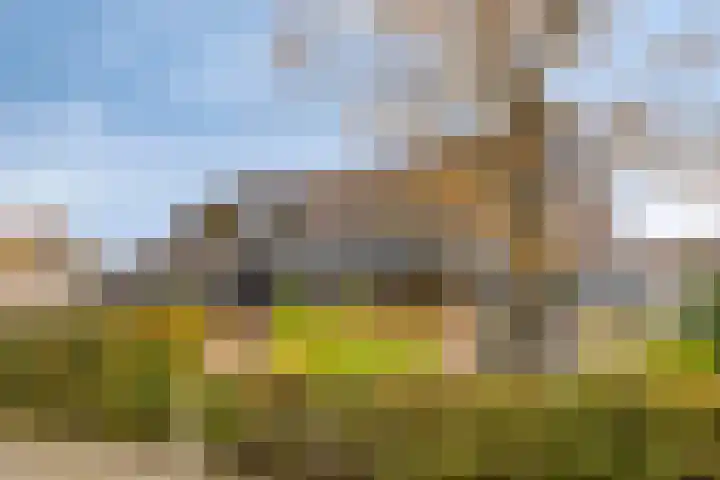 Ooievaarshof 7 Borne thumbnail 65