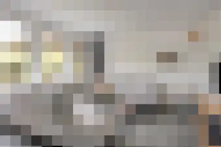 Ooievaarshof 7 Borne thumbnail 8