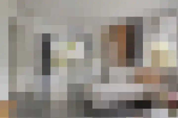 Ooievaarshof 7 Borne thumbnail 9