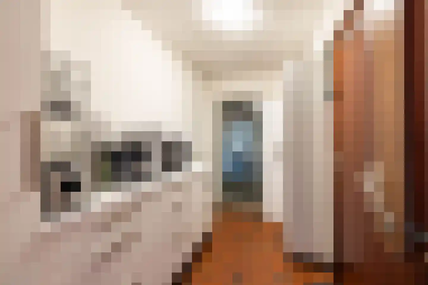Ooievaarshof 9 Borne thumbnail 12