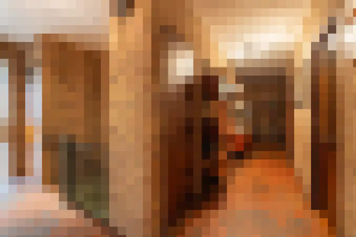 Ooievaarshof 9 Borne thumbnail 13
