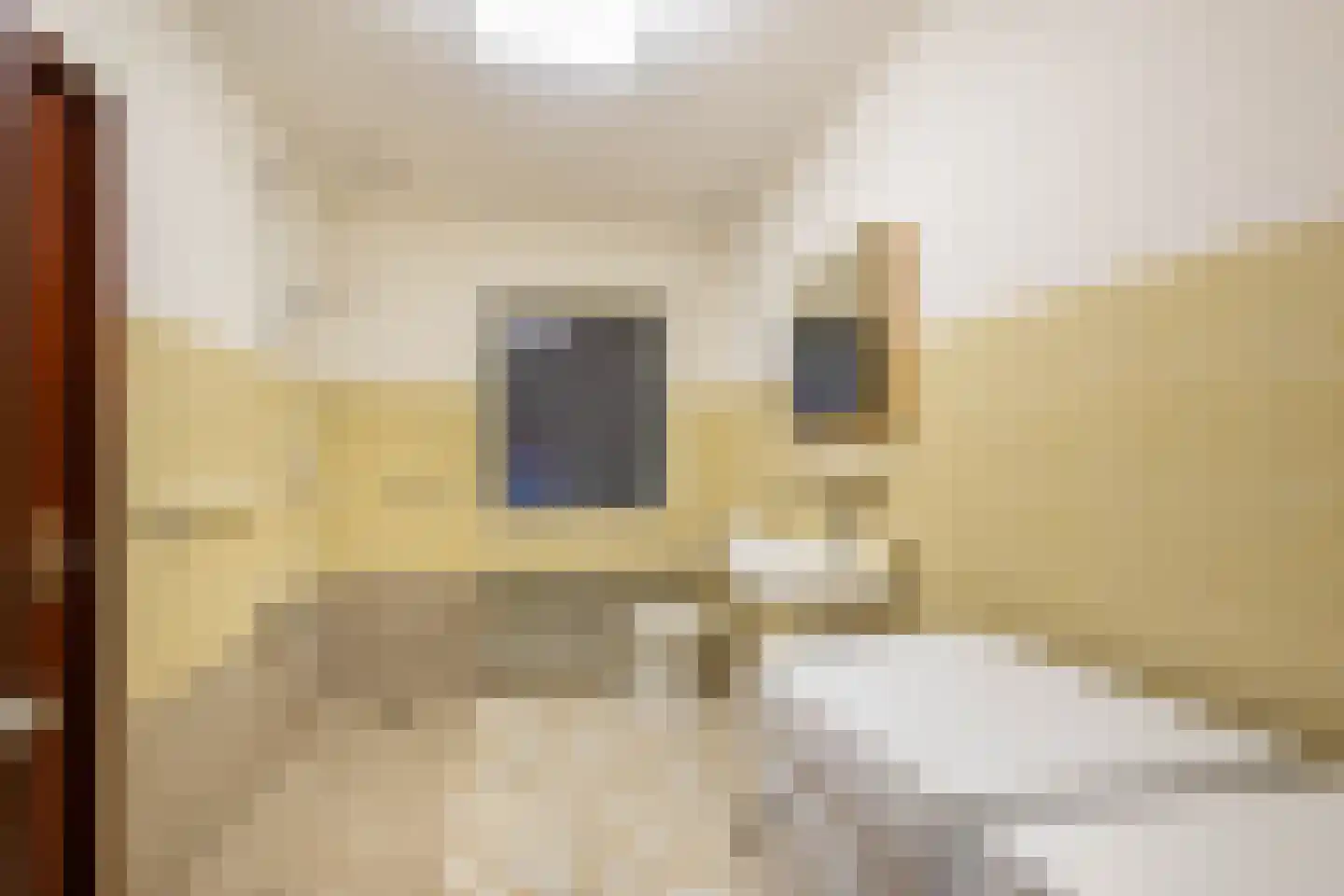 Ooievaarshof 9 Borne thumbnail 19