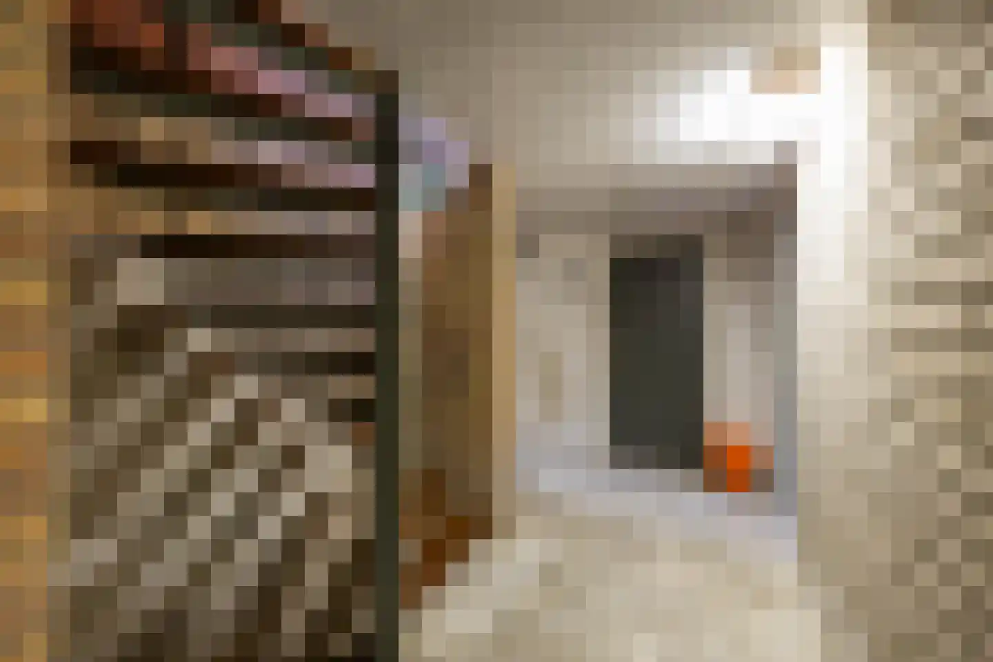 Ooievaarshof 9 Borne thumbnail 24