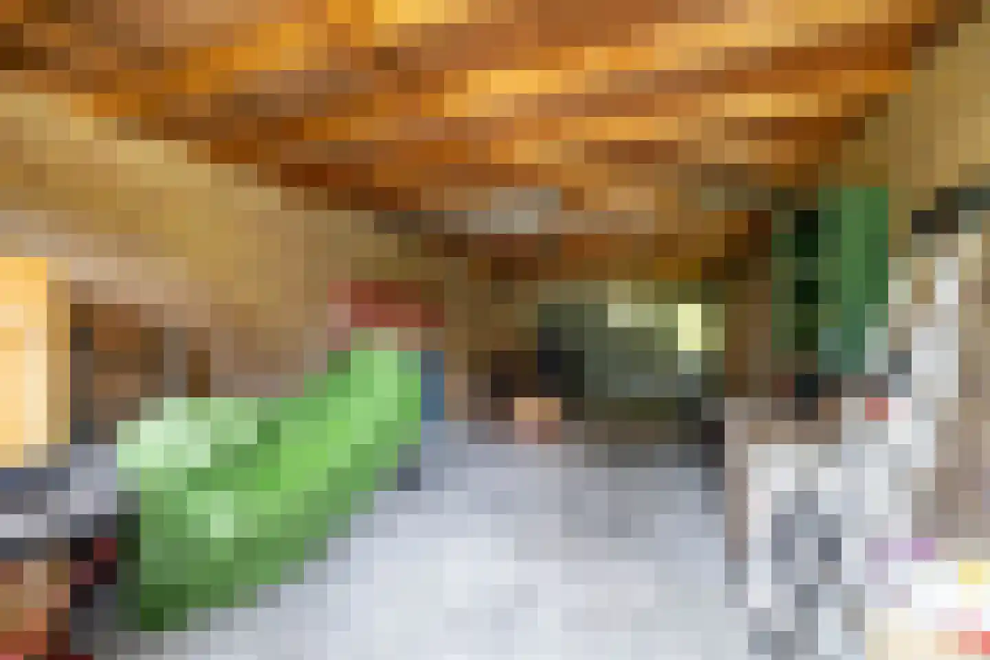 Ooievaarshof 9 Borne thumbnail 27