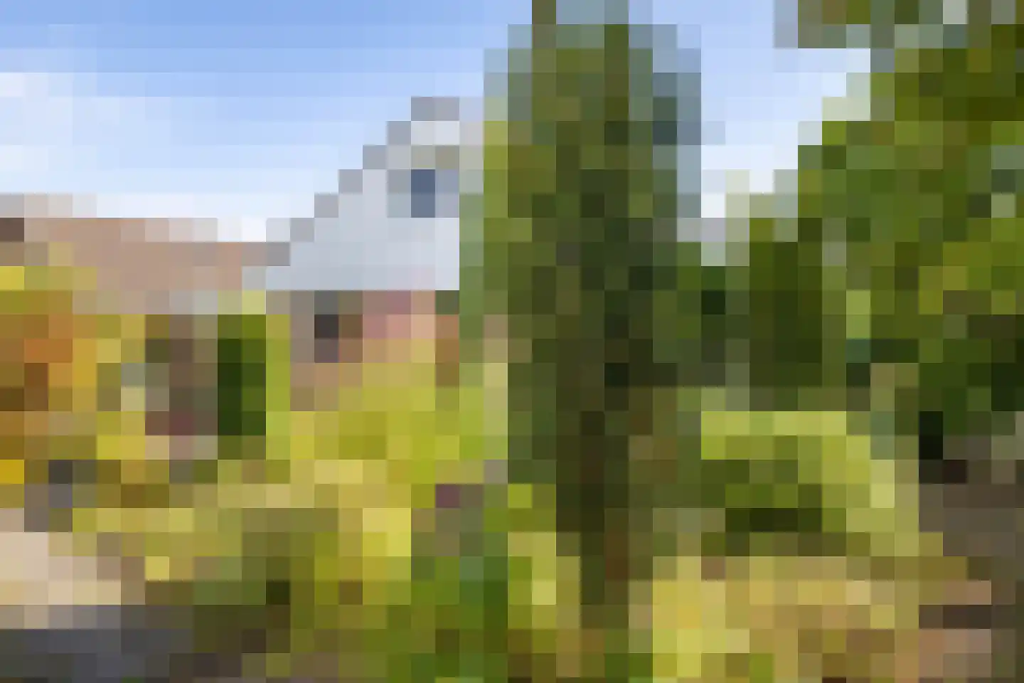 Ooievaarshof 9 Borne thumbnail 28