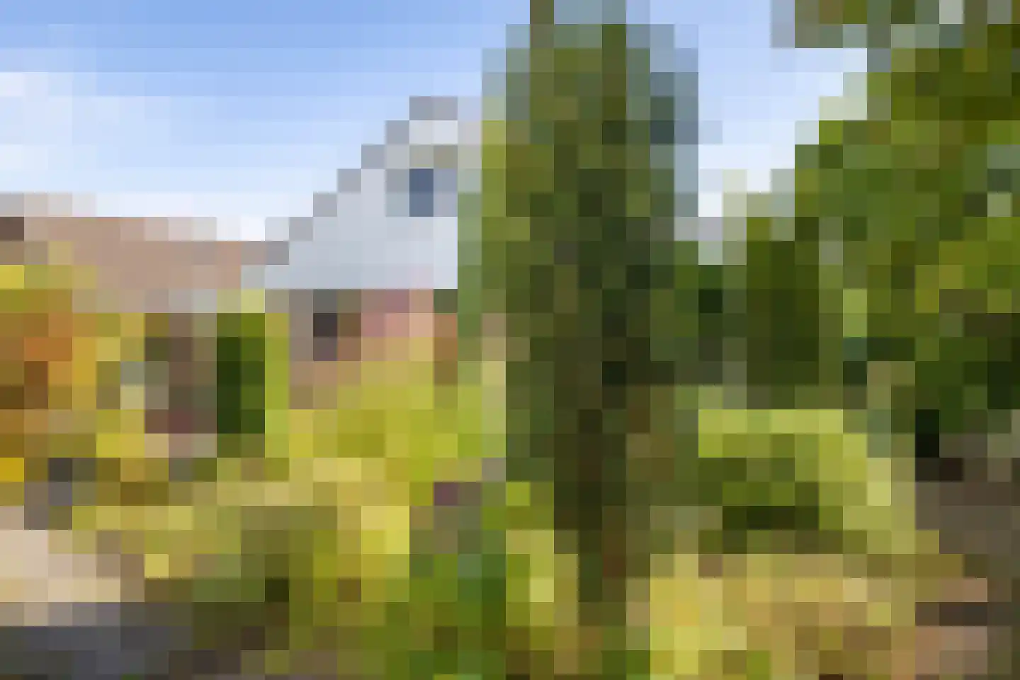 Ooievaarshof 9 Borne thumbnail 28