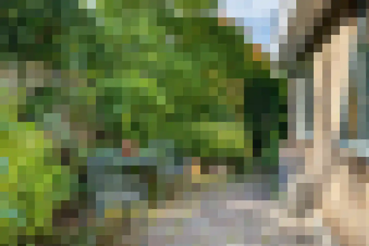 Ooievaarshof 9 Borne thumbnail 30