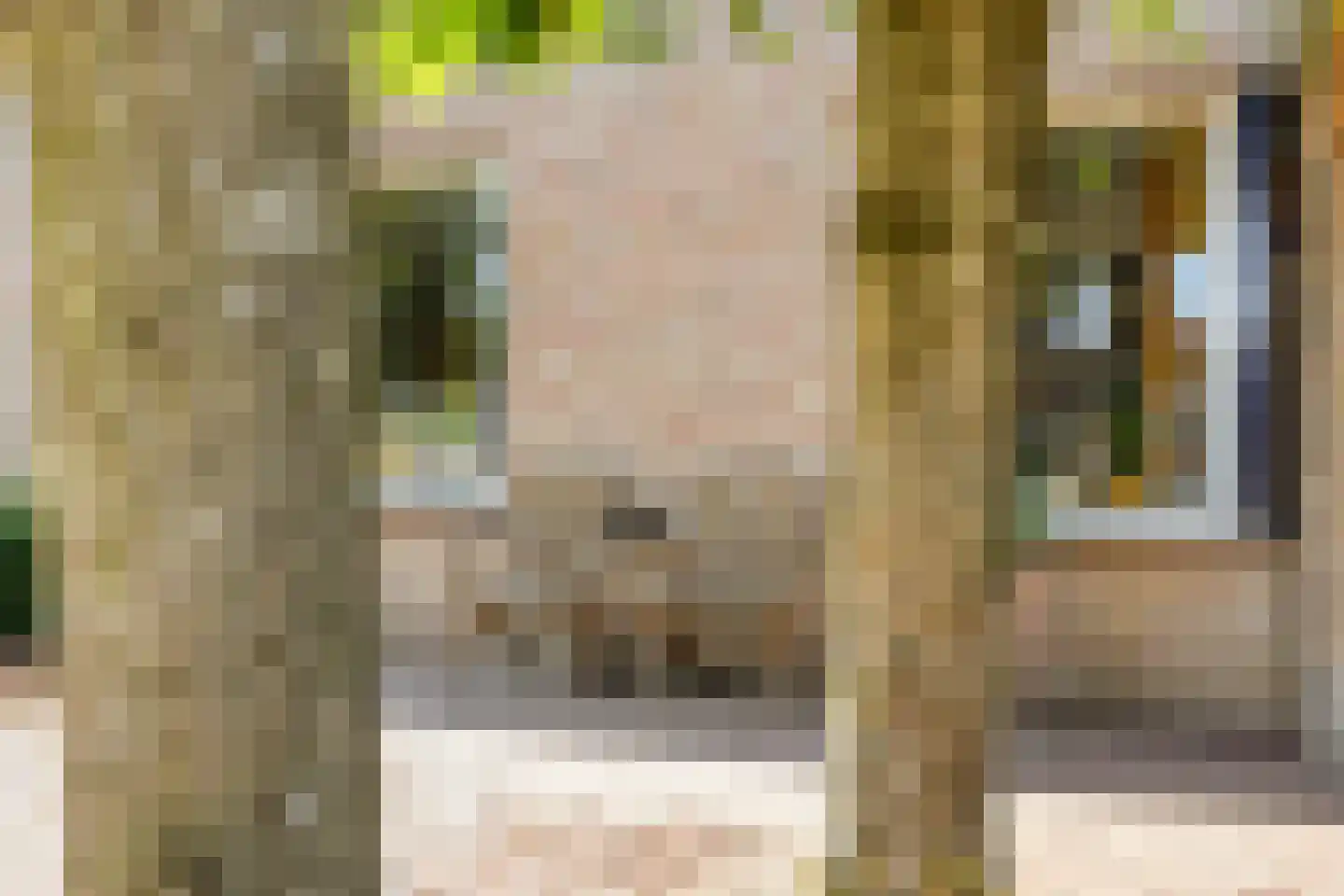 Ooievaarshorst 24 Grave thumbnail 15